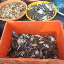 фото из отзыва ID 1489077