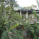 Mount View Inn