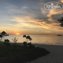 фото из отзыва ID 1489219