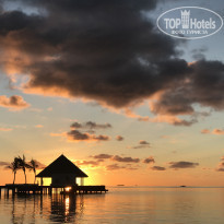 фото из отзыва ID 1489219