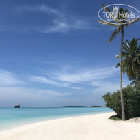 фото из отзыва ID 1489219