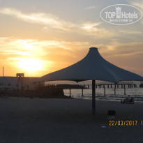 фото из отзыва ID 1489200