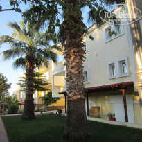 фото из отзыва ID 1489287