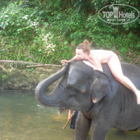 фото из отзыва ID 1489299