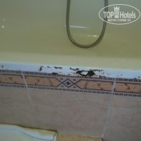 фото из отзыва ID 1489324