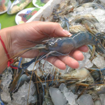 фото из отзыва ID 1489340