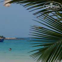 фото из отзыва ID 1489340