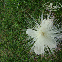 фото из отзыва ID 1489417