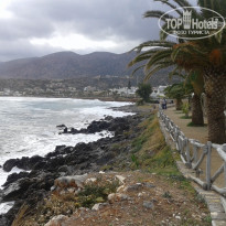 фото из отзыва ID 1489439