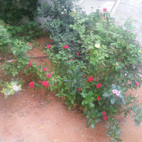 фото из отзыва ID 1489439