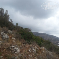 фото из отзыва ID 1489439