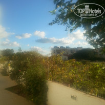 фото из отзыва ID 1489439