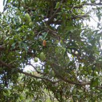 фото из отзыва ID 1489464