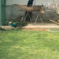 фото из отзыва ID 1489338