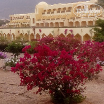 фото из отзыва ID 1489561