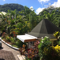 фото из отзыва ID 1489628