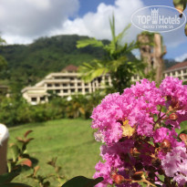 фото из отзыва ID 1489628