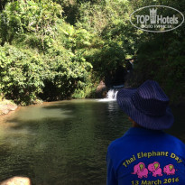 фото из отзыва ID 1489684