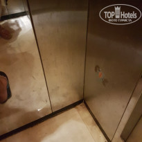 фото из отзыва ID 1489775