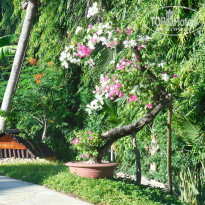 фото из отзыва ID 1489783