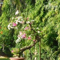 фото из отзыва ID 1489783