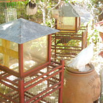 фото из отзыва ID 1489783