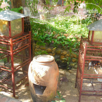 фото из отзыва ID 1489783