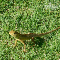 фото из отзыва ID 1489783