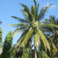 фото из отзыва ID 1489783