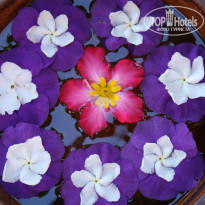 фото из отзыва ID 1489783