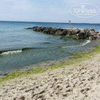 фото из отзыва ID 1489863