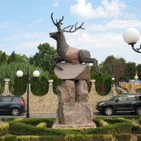 фото из отзыва ID 1489863