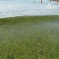 фото из отзыва ID 1489863