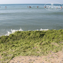 фото из отзыва ID 1489863