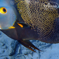 фото из отзыва ID 1489160