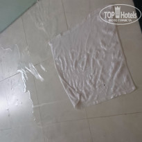 фото из отзыва ID 1486452