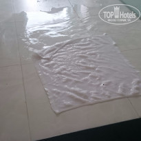 фото из отзыва ID 1486452