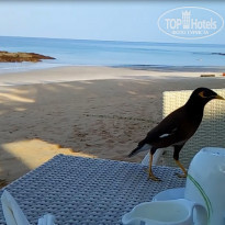 фото из отзыва ID 1486581