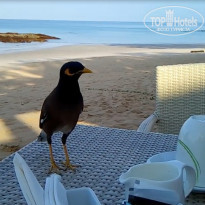 фото из отзыва ID 1486581