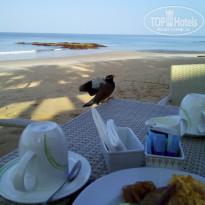 фото из отзыва ID 1486581