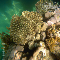 фото из отзыва ID 1483616