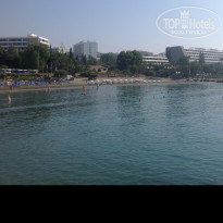 фото из отзыва ID 1490039