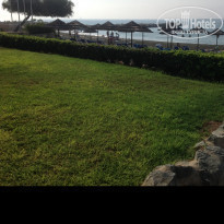 фото из отзыва ID 1490039