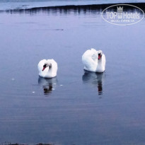 фото из отзыва ID 1490082