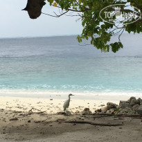 фото из отзыва ID 1490086