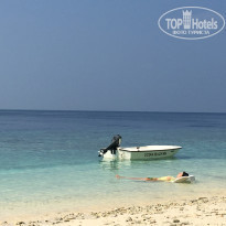 фото из отзыва ID 1490086