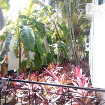 фото из отзыва ID 1490092