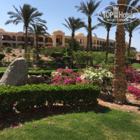 фото из отзыва ID 1490125