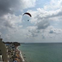 фото из отзыва ID 1490228