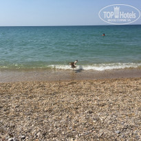 фото из отзыва ID 1490228